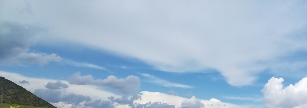 MIMBRES PARA UN&nbsp;PILAR