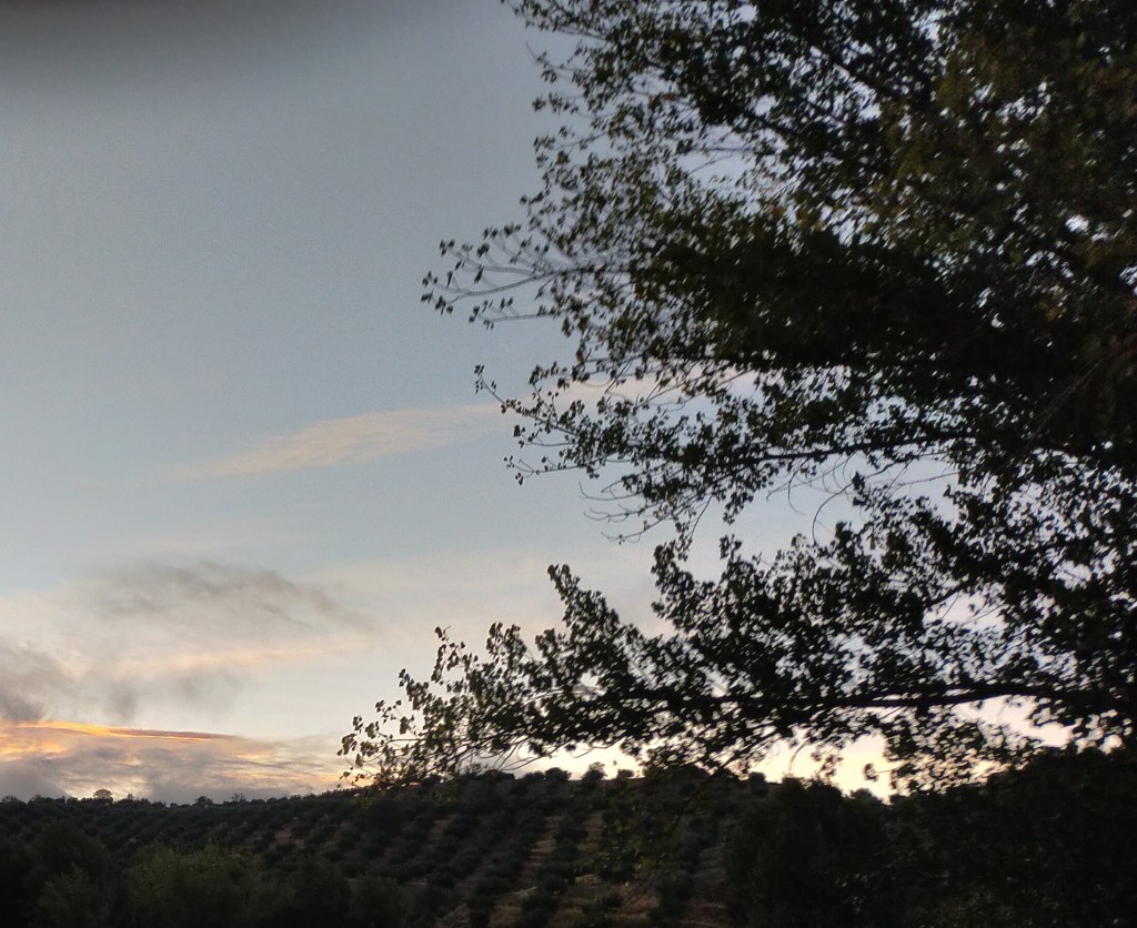 LA TIERRA GUARDA SU SECRETO